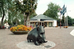 picture 11
