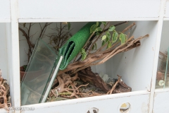 Nunspeet - Terrarium gedumpt in het bos langs de Touristiche Route Foto Bram van de Biezen )