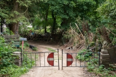 Nunspeet - Valentijn (fotoBramvandeBiezen)