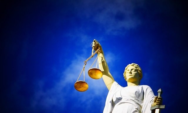 Hond Luna mag niet herplaatst worden