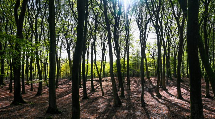 Bergeltroute Vierhouten