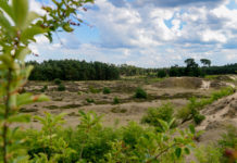 Hendrikszandwandeling