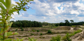 Hendrikszandwandeling