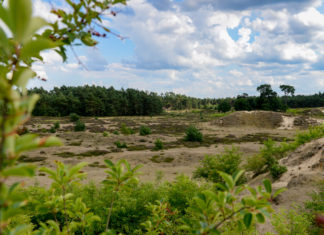 Hendrikszandwandeling