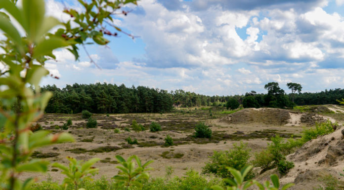 Hendrikszandwandeling