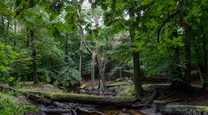 Leuvenumse Beekroute
