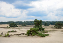 Tafelbergroute over het Hulshorsterzand