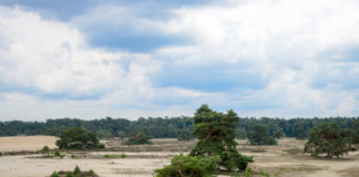 Tafelbergroute over het Hulshorsterzand