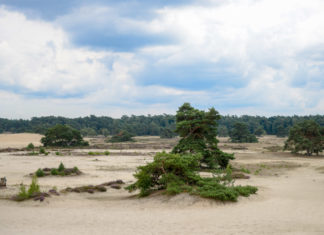 Tafelbergroute over het Hulshorsterzand