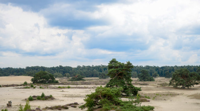 Tafelbergroute over het Hulshorsterzand