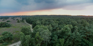 Tijdkijkerpad bij de Stakenberg