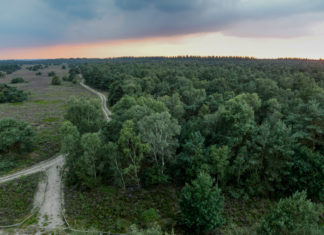 Tijdkijkerpad bij de Stakenberg