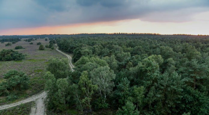 Tijdkijkerpad bij de Stakenberg
