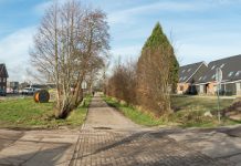 Groenaanleg plantsoengedeelte bij woningen Maaistoel in Molenbeek