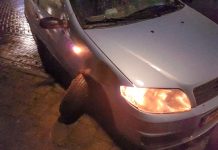 Drukke dienst voor de politie Nunspeet