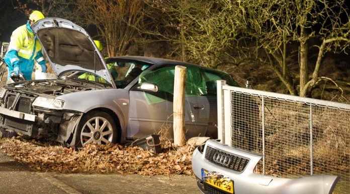 SGP stelt vragen over wildaanrijdingen