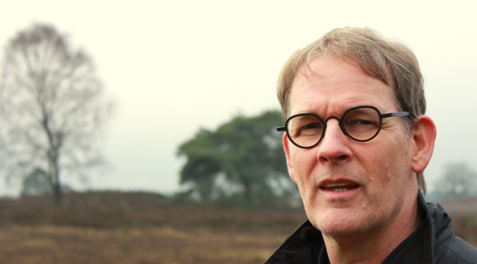 De roep om meer paarse heide vraagt om 150 extra schapen