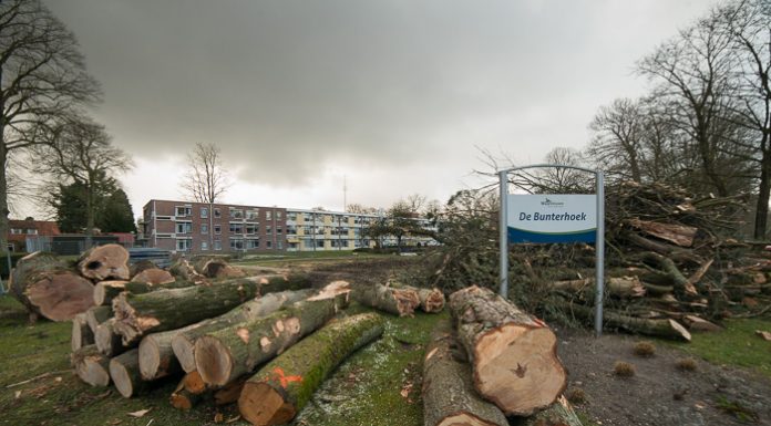 Bomenkap voor de bouw van de nieuwe Bunterhoek