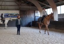 Workshop body awareness te paard