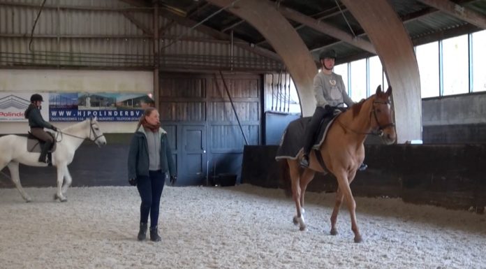 Workshop body awareness te paard