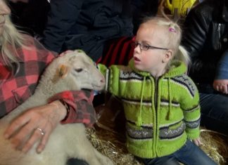 Lammetjesdag in Elspeet