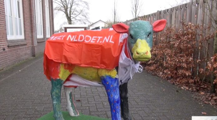 Vrijwilligers klussen voor NLdoet
