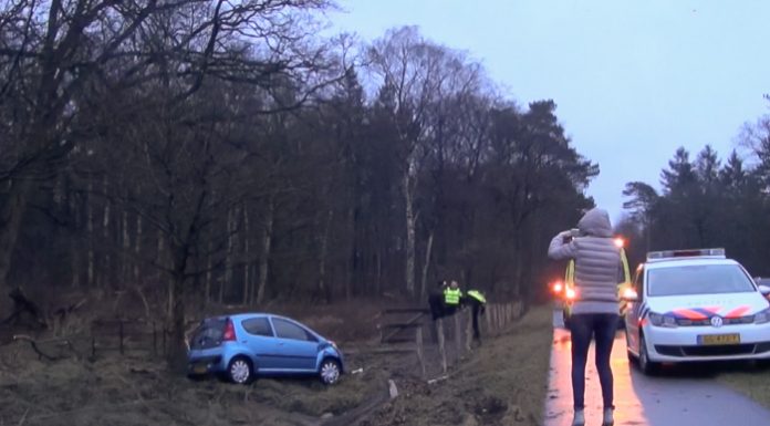 Auto belandt in weiland