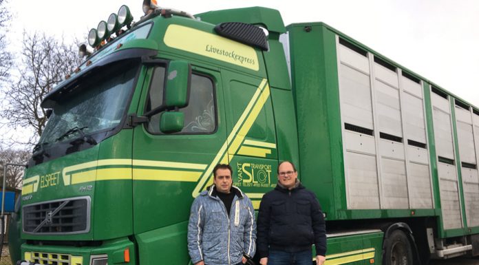 Vrachtwagens, waar parkeer je die in Elspeet?