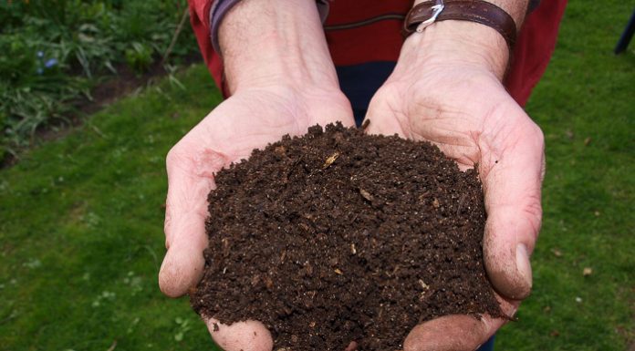 Gratis compost als bedankje voor uw GFT