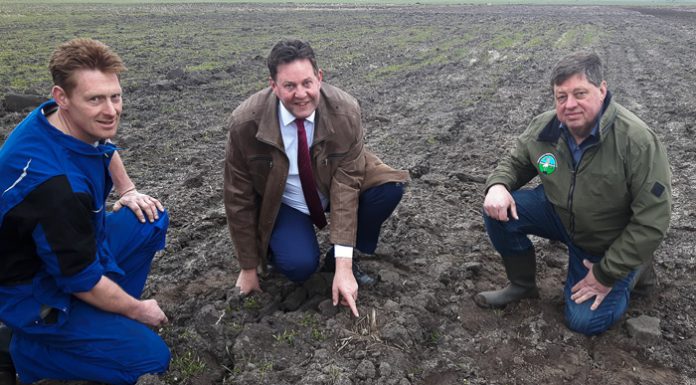 Eerste kievitsei in de gemeente Nunspeet