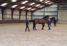 Grondwerk ‘wie was er eerder de kip of het ei’