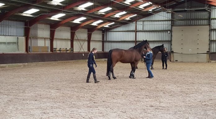 Grondwerk ‘wie was er eerder de kip of het ei’