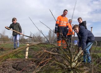 95 Nieuwe wilgen geplant door de Morgenster