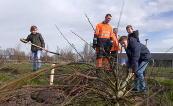 95 Nieuwe wilgen geplant door de Morgenster