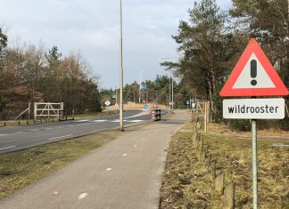 Toezegging college over wildaanrijdingen