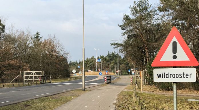 Toezegging college over wildaanrijdingen