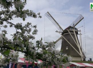Gezellige Lentemarkt bij molen De Duif
