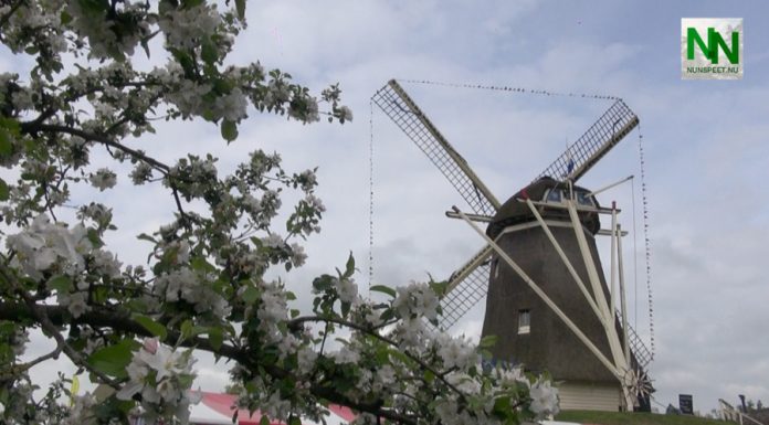 Gezellige Lentemarkt bij molen De Duif