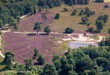 Uitbreidingsplan paarse heide gemeente Nunspeet