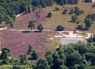Uitbreidingsplan paarse heide gemeente Nunspeet