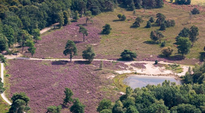 Uitbreidingsplan paarse heide gemeente Nunspeet