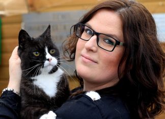 Met je kat naar de kapper bij ‘De Kattenbarber’