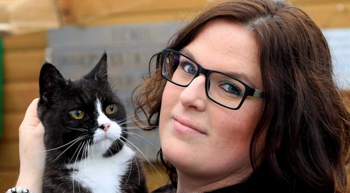 Met je kat naar de kapper bij ‘De Kattenbarber’