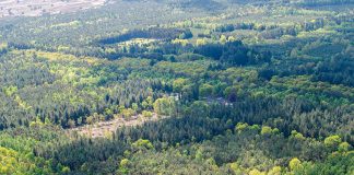 Wanhopige familie vermiste Ellen Hagenbeek gaat de bossen doorzoeken