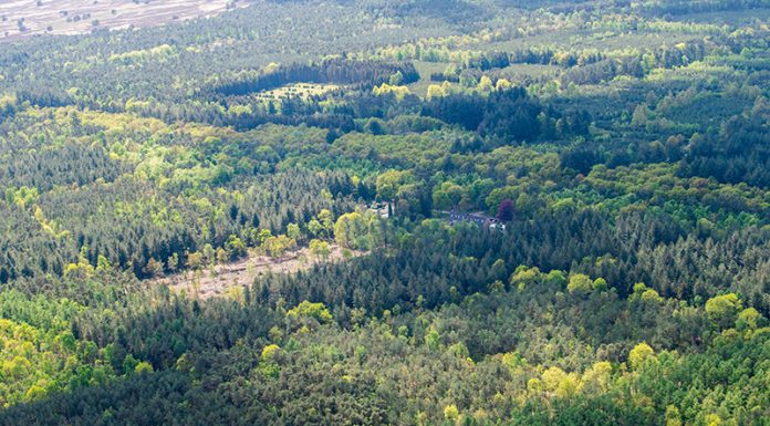 Aangetroffen lichaam is van vermiste vrouw