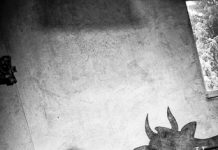 Van grap naar Sssst…; een spraakmakend en uniek feest