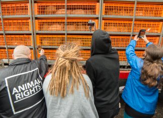 Demonstratie van dierenactivisten bij de GPS