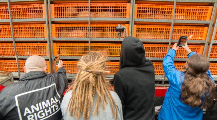 Demonstratie van dierenactivisten bij de GPS