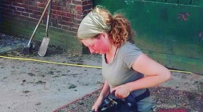 Schaapsherderin Daphne van Zomeren is op zoek naar Perzische tapijtjes