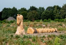Retentiegebied Molenbeek krijgt ook een speelfunctie